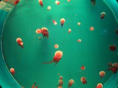 -多彩贵州城极地海洋世界