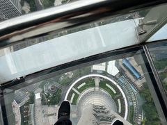 -东方明珠广播电视塔