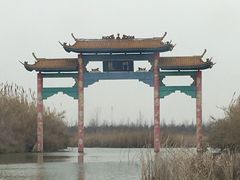 -泗洪洪泽湖湿地景区