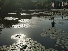 -白马涧龙池景区