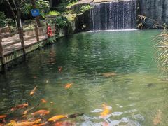 -千岛湖东南湖区