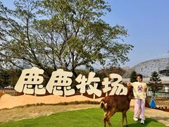 -盈香心动乐园