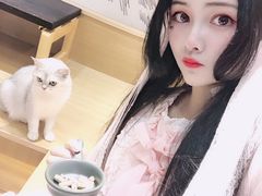 -滚猫咖啡·猫咖·猫友好撸猫(未来城店)