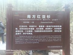-山沟沟景区