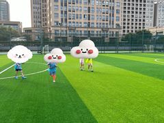 -小赛虎少儿足球培训(南翔校区)