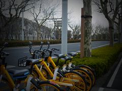 -栖露营camping·天幕烧烤·团建拓展·采摘营地