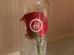 -海底捞火锅(群光广场店)