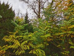 -汉长安城未央宫国家考古遗址公园