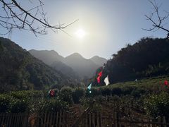 -午潮山国家森林公园