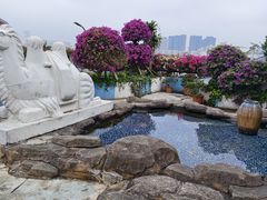 -马大胡子清真西北菜