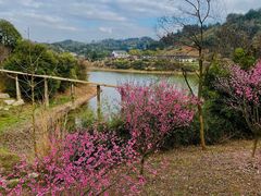 -青山湖景区