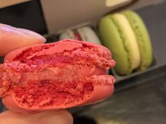 -罗森尼娜(德思勤店)