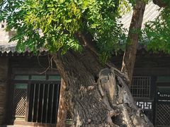 -平遥县衙