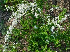 -新天地活力PARK