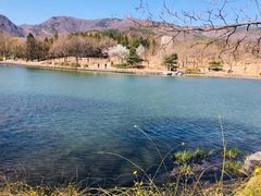 -北京植物园南门售票处