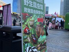 -上海大自然野生昆虫馆(东方明珠·爬宠昆虫探索中心)