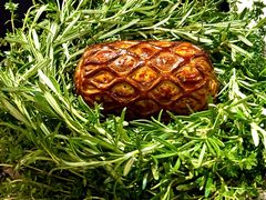 -Le Bistrot de Racine