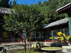 -宫事颐庭·老佛爷贵寿下午茶(颐和园店)