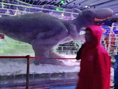 -宁波冰雪大世界(北仑区)