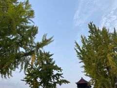 -大雁塔北广场音乐喷泉