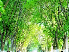 -重庆工商大学(南岸校区)