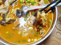 -全乐鱼馆·淳牌有机鱼直营店