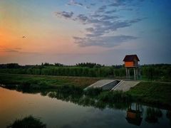 -东郊湿地公园