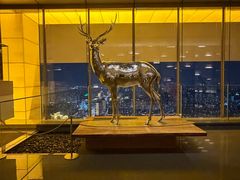 -北京柏悦酒店·锦庭餐厅Dining Room