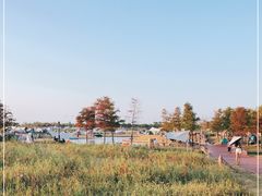 -春花秋色城市公园