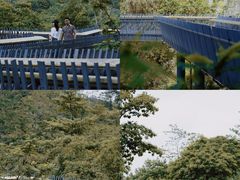 -阳台山森林公园