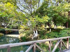 -青枫公园