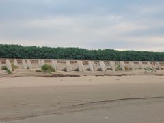 -启东黄金海滩景区