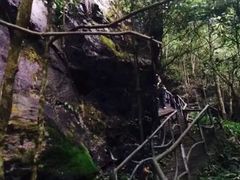 -石台牯牛降景区