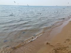 -秦皇岛新澳海底世界