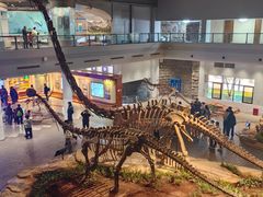 -自贡恐龙博物馆