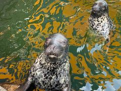 -华夏文旅海洋公园