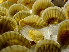 -佰园全日西餐厅-厦门佰翔软件园酒店