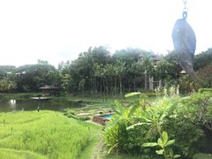 -四季酒店下午茶