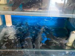 -秦记香辣蟹(松榆里店)
