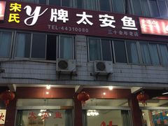 -y牌太安鱼