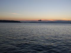 -The Crab Pot Seattle