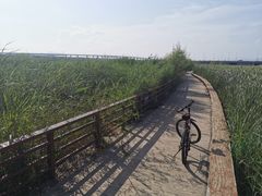 -绿堤公园