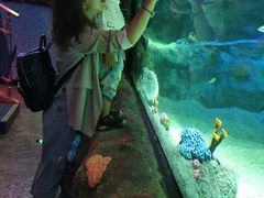 -沈阳海洋探索中心