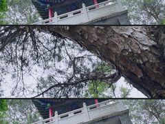 -青龙山国家森林公园