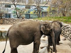 -北京野生动物园