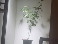 -JRCAFE玖如空间