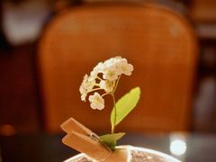 -Catail前苑(前门大街店)