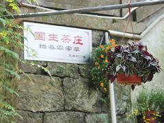 门面-国生茶庄·地道农家菜团建活动
