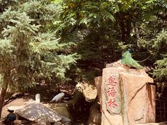 -哈尔滨北方森林动物园