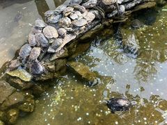 -红螺寺